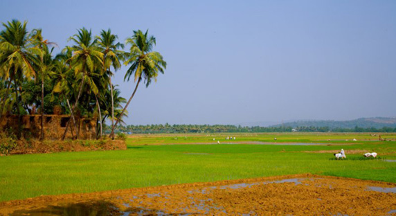 south-goa_0